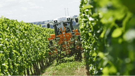 Entretien - Taille viti-arbo - Effeuilleuse EB490 BINGER