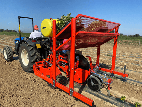 Semis - Planteuses - Planteuse repiqueuse