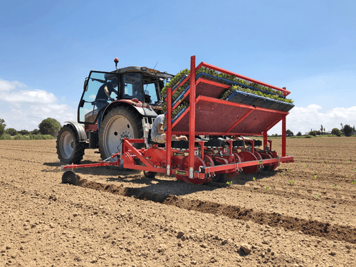 Semis - Planteuses - Planteuse repiqueuse
