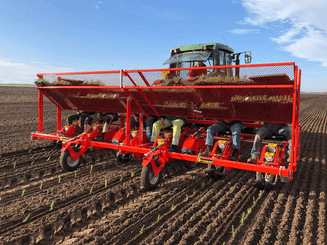 Semis - Planteuses - Planteuse repiqueuse
