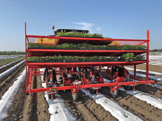 Semis - Planteuses - Planteuse repiqueuse