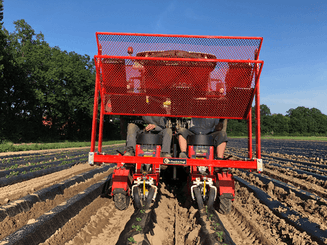 Semis - Planteuses - Planteuse repiqueuse