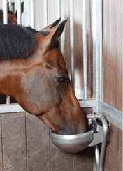 Abreuvement - Abreuvoirs et accessoires - Abreuvoir F130 INOX