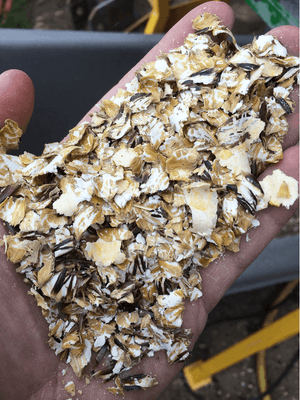 Alimentation - Aplatisseur à grains - Aplatisseur floconneur AP85