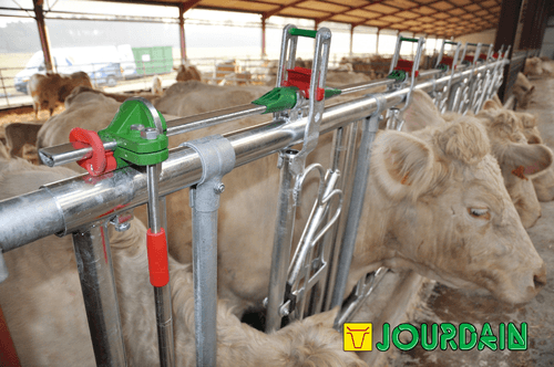 Matériel d'élevage - Cornadis - Cornadis SAFETY IV