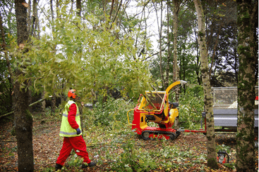 Matériel forestier - Broyeurs de végétaux - Broyeur de branches sur chenilles VEGETOR C
