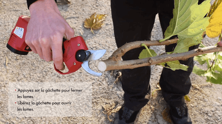 Viticulture, arboriculture - Sécateurs - Sécateur à batterie KS2000