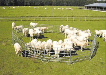 Matériel d'élevage - Cage, parc et couloir de contention - Panel de contention JOURDAIN