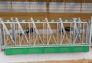 Matériel d'élevage - Cornadis - Cornadis SAFETY veau