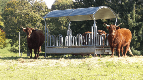 Matériel d'élevage - Râtelier - Ratelier BIG BALL 2 m x 3 m