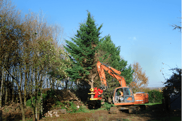 Matériel forestier - Grappin forestier - Grappin XYLOCUT - XYLOGRIP