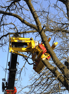 Matériel forestier - Grappin forestier - Grappin XYLOCUT - XYLOGRIP