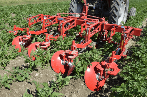 Entretien - Bineuses - Bineuse butteuse HILLSTAR