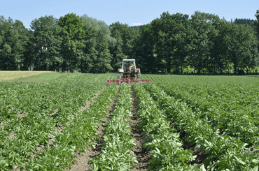 Entretien - Bineuses - Bineuse butteuse HILLSTAR