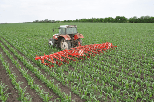 Entretien - Bineuses - Bineuse CHOPSTAR