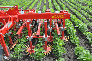 Entretien - Bineuses - Bineuse CHOPSTAR