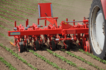 Entretien - Bineuses - Bineuse CHOPSTAR