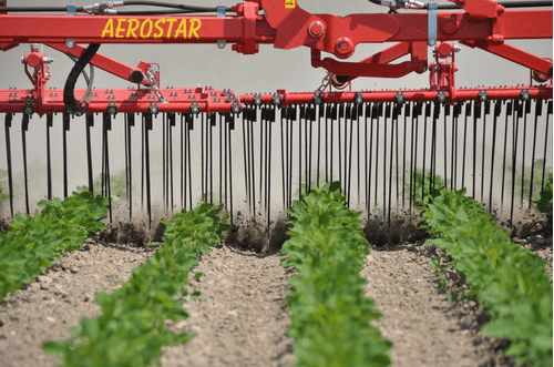 Entretien - Herse étrille - Herse étrille AEROSTAR FUSION