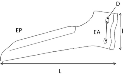 Pièces d'usure outil animé - Howard - Dent de herse boulonnée 250 x 15 gauche origine