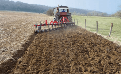 Travail du sol - Charrues - Charrue déchaumeuse à planche RAPIDLAB