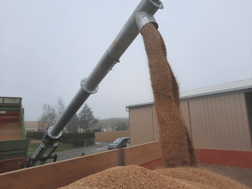 Matériel de ferme - Vis à grains - Vis sur chariot 12 m entraînement électrique