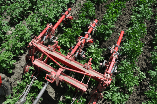 Entretien - Bineuses - Bineuse à doigts ROLLSTAR