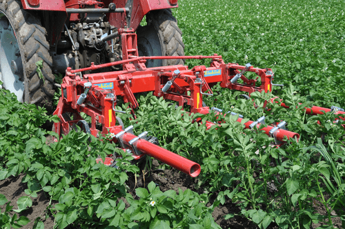 Entretien - Bineuses - Bineuse à doigts ROLLSTAR