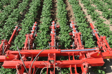 Entretien - Bineuses - Bineuse à doigts ROLLSTAR