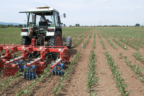 Entretien - Bineuses - Bineuse à doigts ROLLSTAR