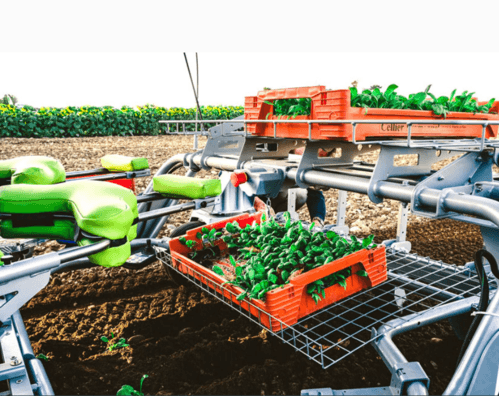 Travail du sol - Maraîchage - Cobot enjambeur TOUTILO