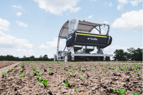 Travail du sol - Maraîchage - Cobot enjambeur TOUTILO