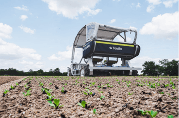 Travail du sol - Maraîchage - Cobot enjambeur TOUTILO