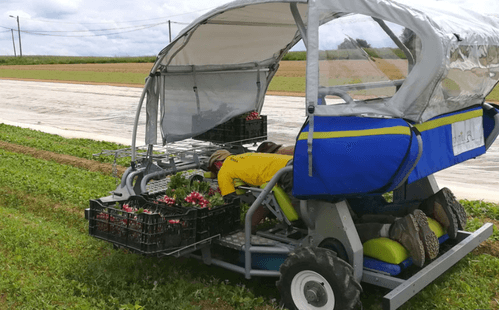 Travail du sol - Maraîchage - Cobot enjambeur TOUTILO