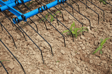 Entretien - Herse étrille - Herse étrille SARCLERSE