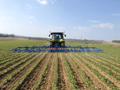 Entretien - Herse étrille - Herse étrille SARCLERSE