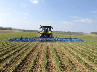 Entretien - Herse étrille - Herse étrille SARCLERSE