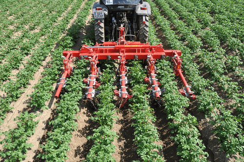 Entretien - Bineuses - Bineuse à doigts ROLLSTAR