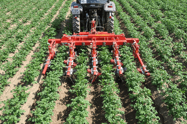 Entretien - Bineuses - Bineuse à doigts ROLLSTAR