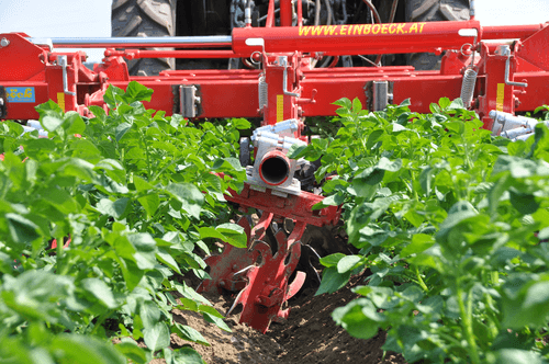 Entretien - Bineuses - Bineuse à doigts ROLLSTAR