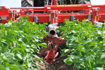 Entretien - Bineuses - Bineuse à doigts ROLLSTAR