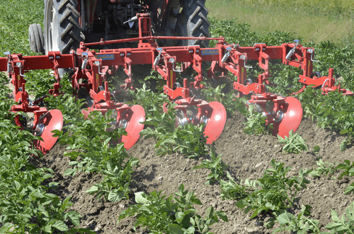 Entretien - Bineuses - Bineuse butteuse HILLSTAR