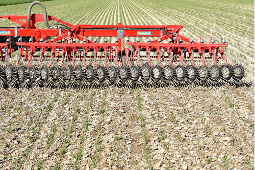 Entretien - Herse étrille - Herse étrille rotative AEROSTAR ROTATION