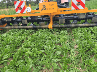 Entretien - Désherbeuses - Arracheuse mauvaises herbes TIG'AIR