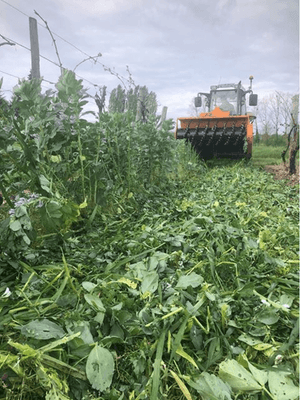 Entretien - Rouleau - Rouleau destructeur VITICUT