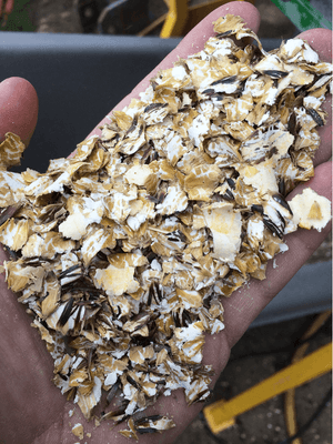 Alimentation - Aplatisseur à grains - Aplatisseur floconneur