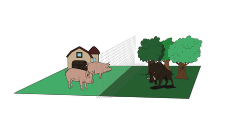 Clôtures - Tréfilés - Grillage nœud en X ARMUR