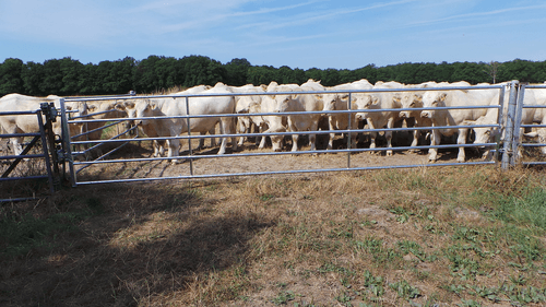 Matériel d'élevage - Barrière herbage - Barrière d'herbage