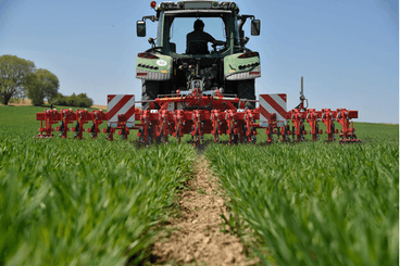 Entretien - Bineuses - Bineuse CHOPSTAR