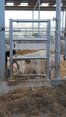 Matériel d'élevage - Barrière herbage - Barrière  4 lisses