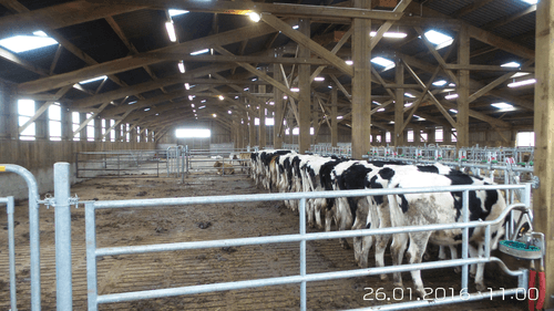 Matériel d'élevage - Barrière herbage - Barrière  4 lisses